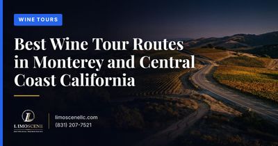 Best Wine Tour Routes in Monterey and Central Coast California
